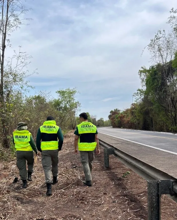 70aba129-087b-4994-b85e-3e0ff8aa2a63-400x497 Ibama inspeciona BR-153 no Tocantins para reduzir acidentes