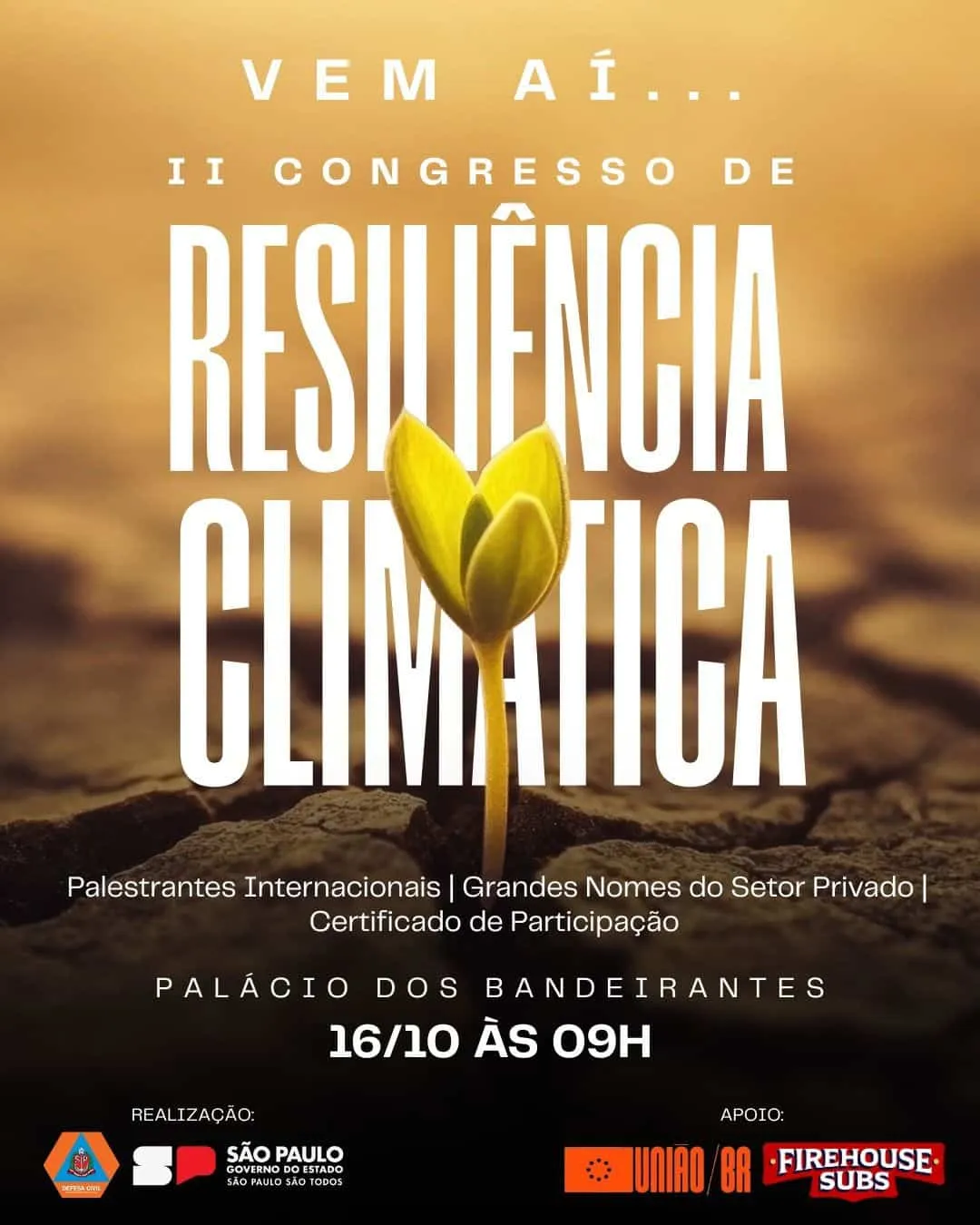 WhatsApp Image 2025 10 14 At 19.21.38