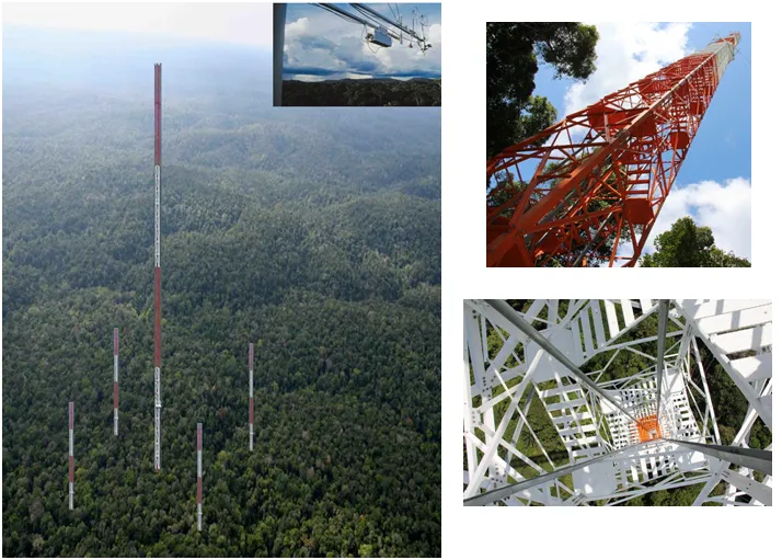 attofoto05-400x286 Alemanha amplia cooperação científica e destina 17 milhões de euros a pesquisas na Amazônia