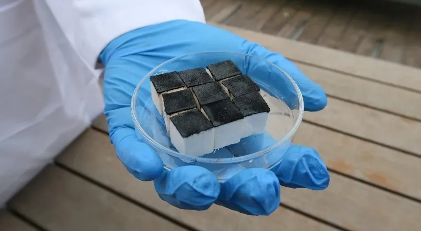 Credit: Shu Shu Zheng, RMIT University