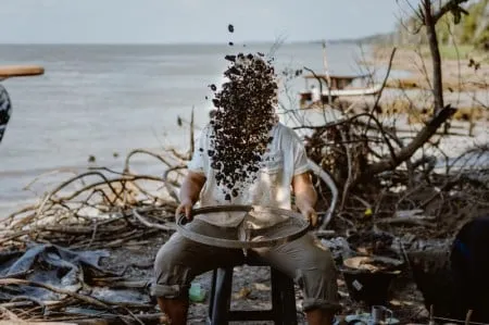 Peneirando o passado: ao se degradar com a ação do tempo, as conchas que constituem os sambaquis liberam carbonato de cálcio (calcita), que permite a conservação de restos orgânicos de animais e plantas presentes no sítio arqueológico (foto: Bárbara Valle)