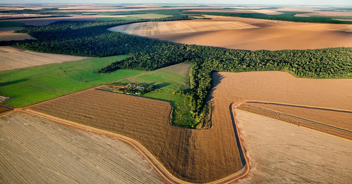 Divulgação - TNC Brasil