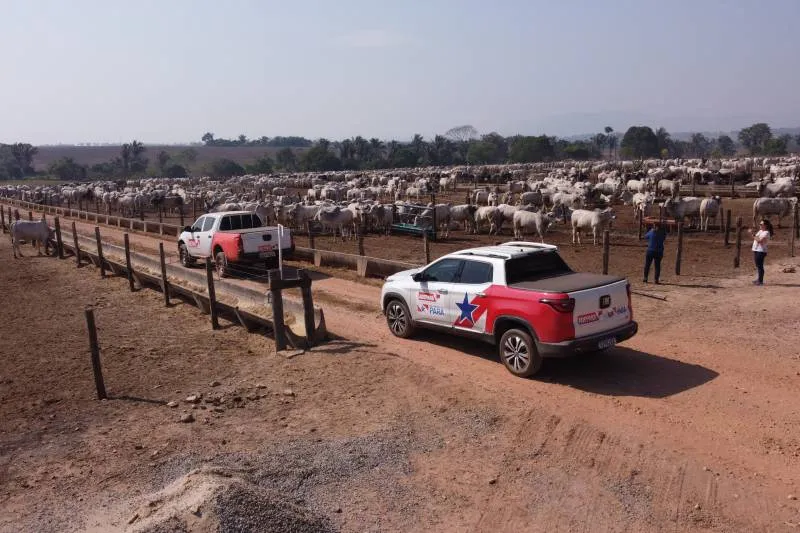 Up Ag 60841 0fe2f82b Edd9 Ec2f 9eb2 3d71d5406156