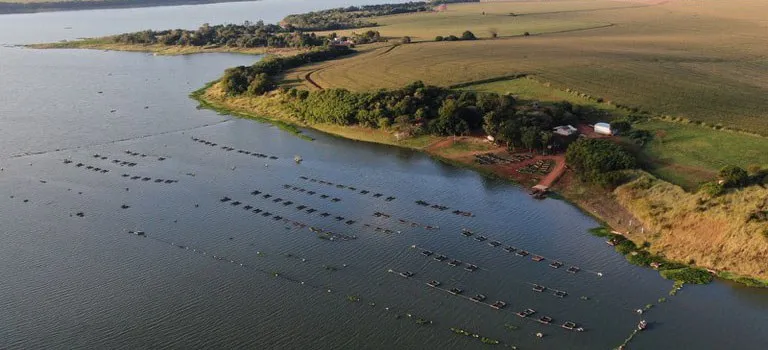 058b6cc2-718c-4544-99ac-c3ba2f1c55dd-400x182 Não vai haver proibição da tilápia no Brasil, diz governo