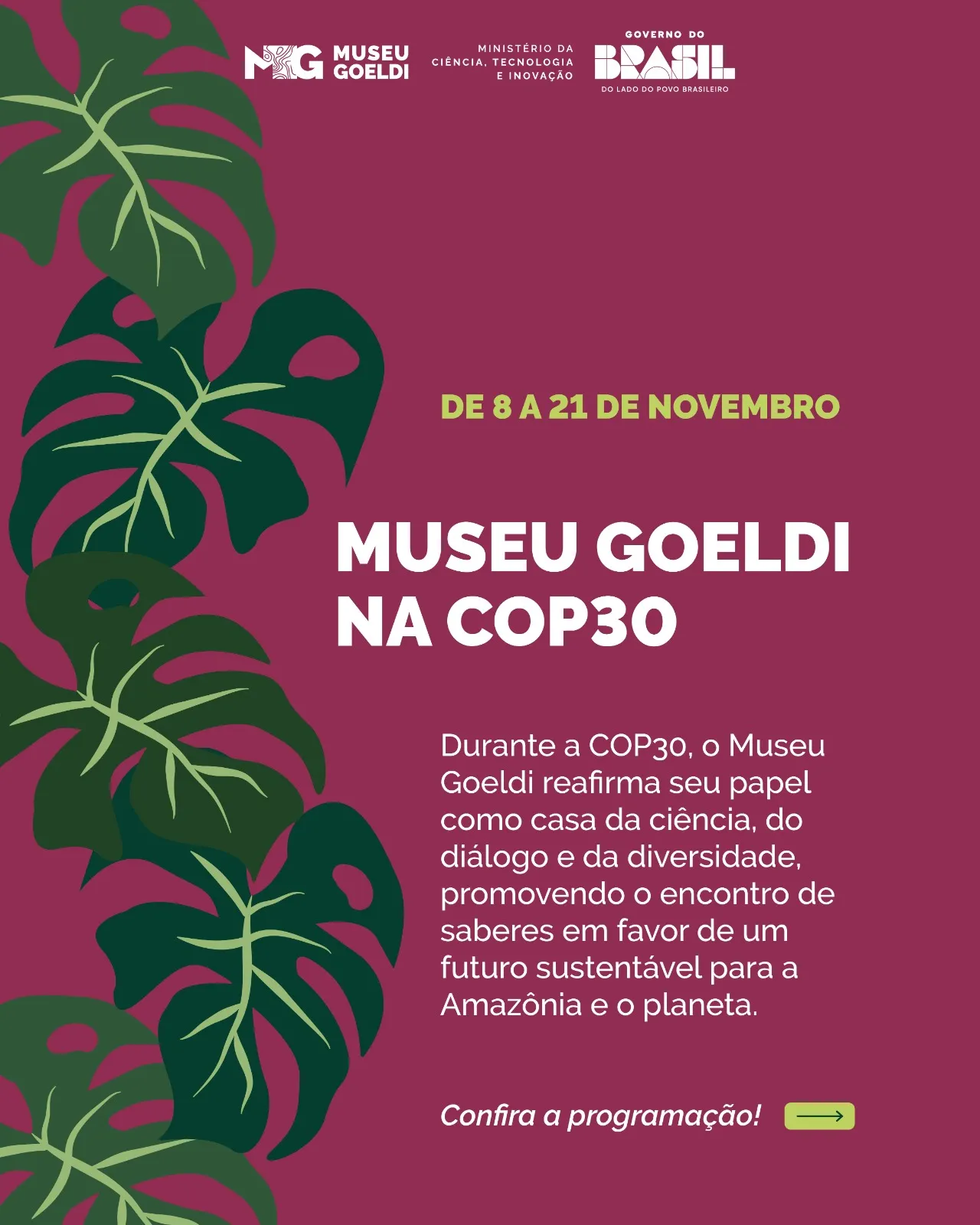 WhatsApp Image 2025 11 07 At 17.26.12