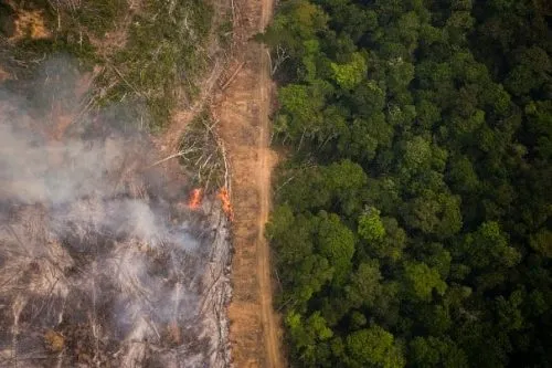 Estados da Amazônia patinam em metas ambiciosas para zerar o desmatamento até 2030 C75680e1 1001 4c61 881b 37c41b9e906a Desmatamento Greenpeace 500x333 1