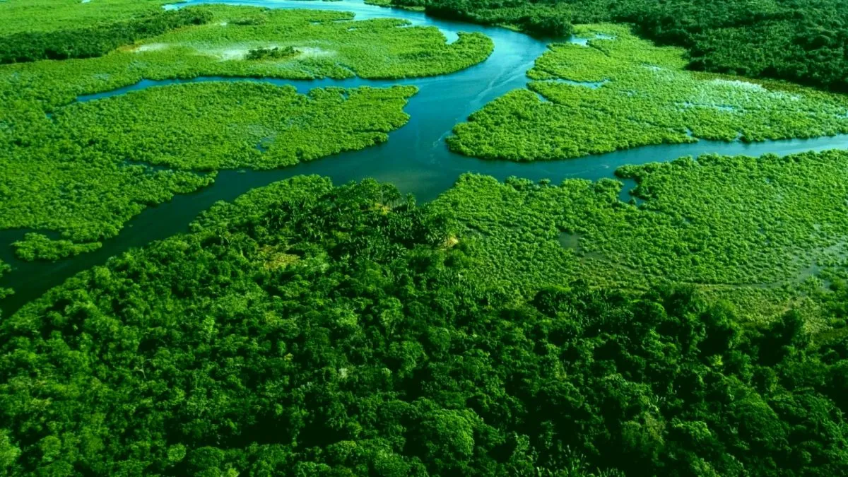 cfbio-2024-158-01-INTERNA-SITE-1200x675-1-400x225 Mata Atlântica ganha voz na COP30 para defender seu futuro