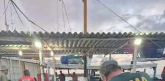 Foto: divulgação/Ibama