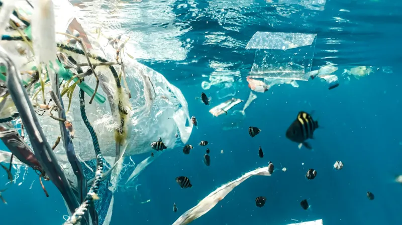 imagem: Naja Bertolt Jensen/Unsplash