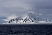 Foto: Jerzy Strzelecki