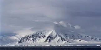 Foto: Jerzy Strzelecki