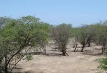 Foto: Glauco Umbelino