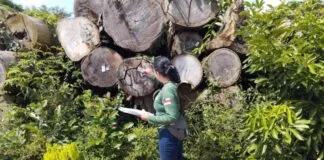 FOTOS: Arquivo/Ipaam