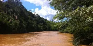 Foto: Fabricio Carrijo