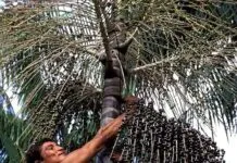 Foto: Luiz Claudio Marigo