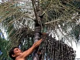 Foto: Luiz Claudio Marigo