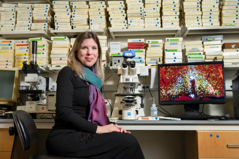 febre-torpor-meio-400x267 Cientistas identificam neurônios que controlam tanto a febre quanto o torpor