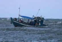 El Niño redefine a pesca e o ecossistema marinho no Atlântico Reprodução