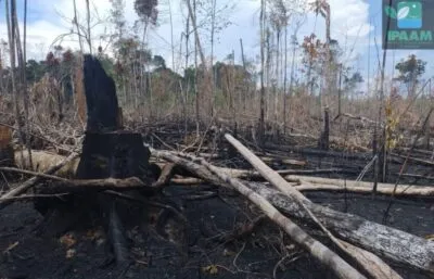  Operação Tamoiotatá aplica R$ 144,7 milhões em multas no Amazonas